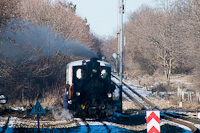 The MV 490 039 <q>Lajos bcsi</q> seen at Szchenyi-hegy station loading coal next to the depot